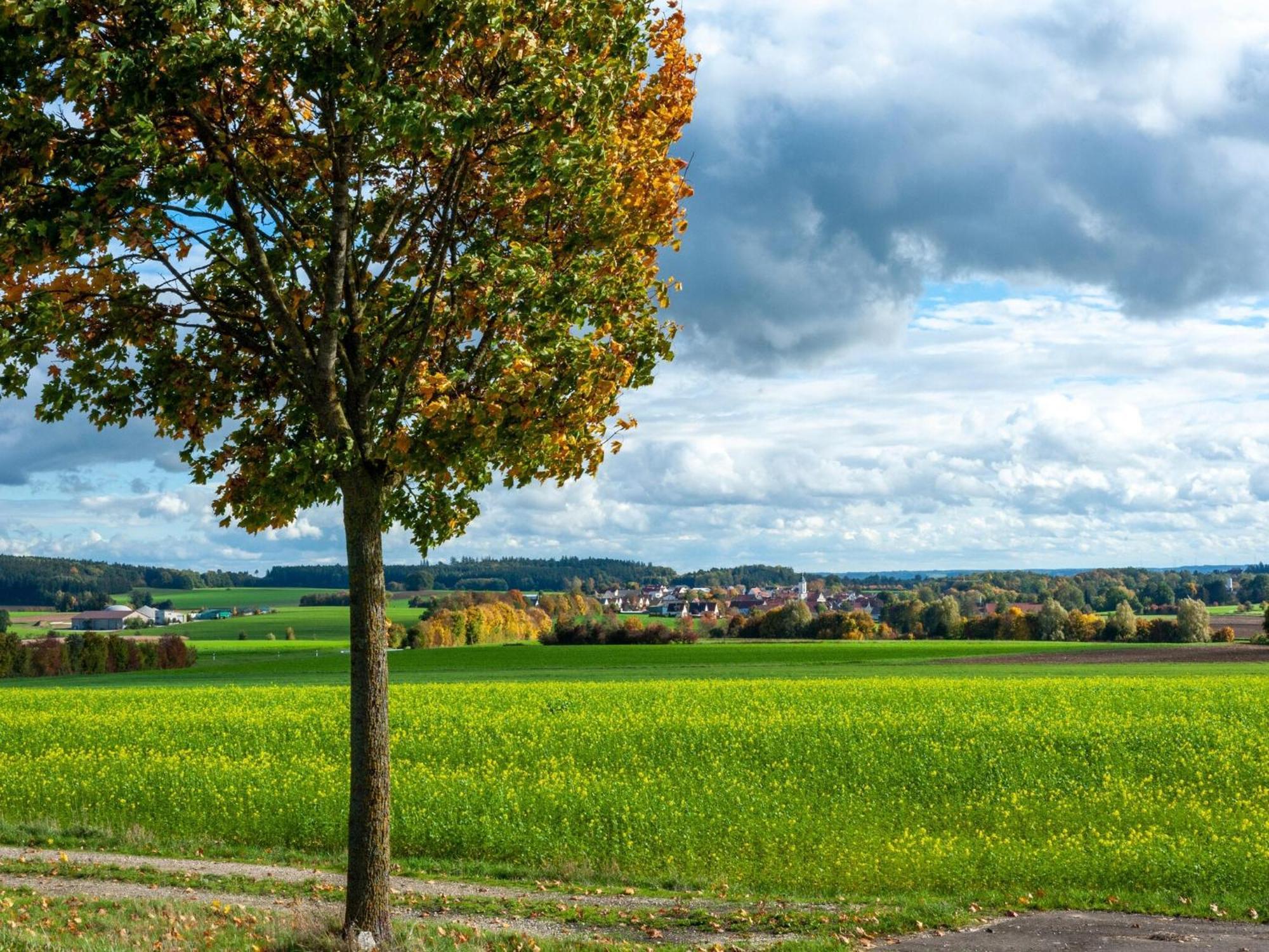 Lovely Holiday Home In Haunsheim Extérieur photo